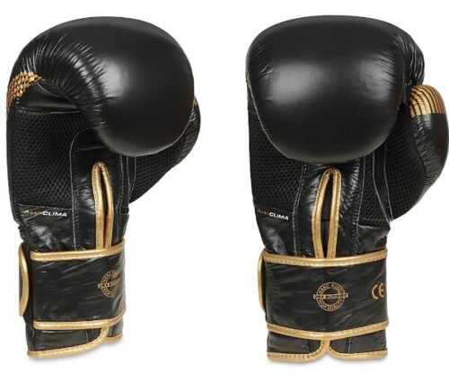 Boxerské rukavice DBX B-2v13