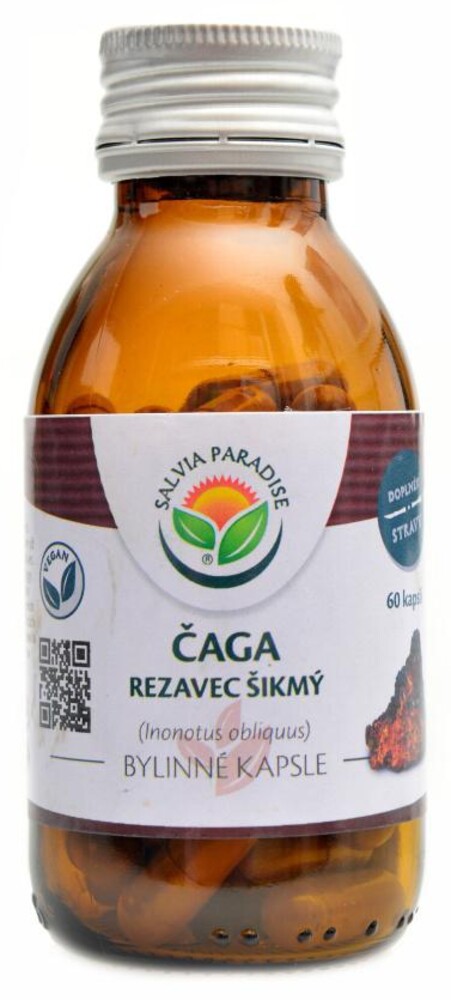 Čaga rezavec šikmý 60 kapslí Chaga