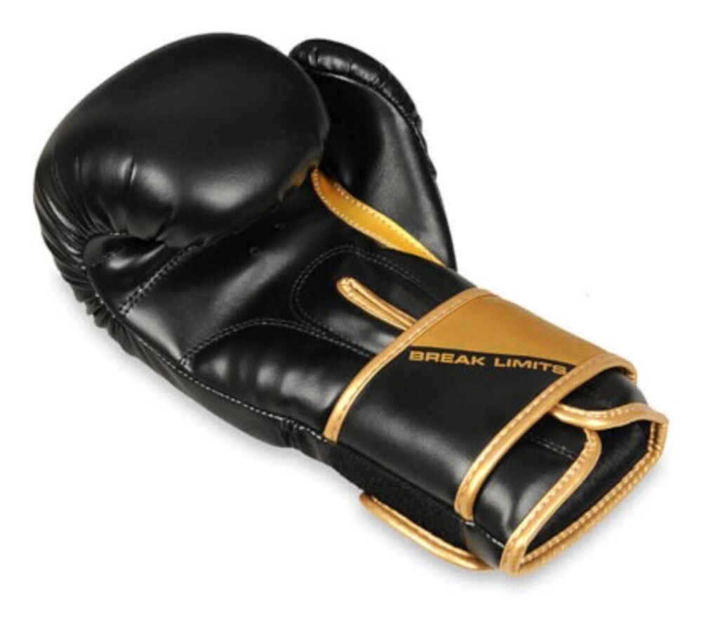 Boxerské rukavice DBX B-2v10