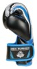 Boxerské rukavice DBX ARB407v1 6 oz