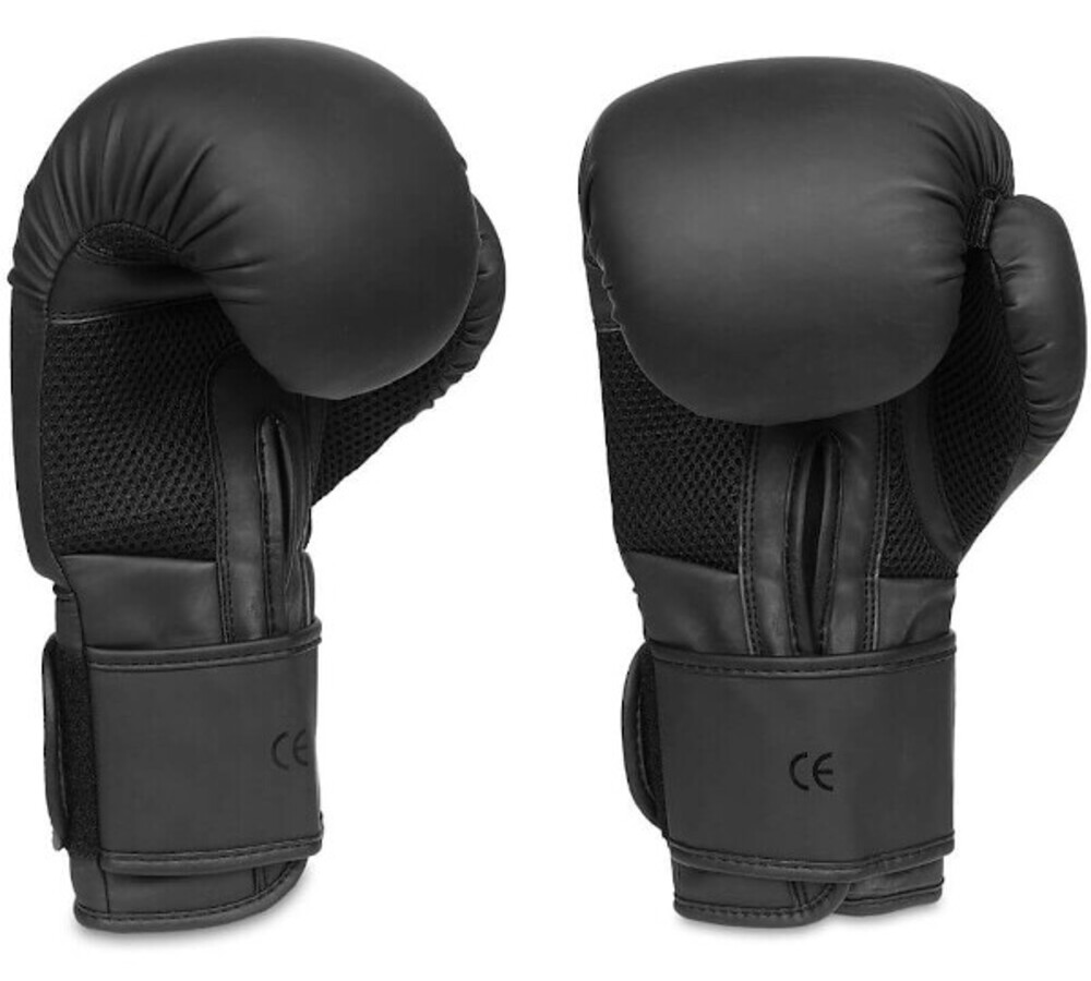 Boxerské rukavice DBX B-2v12