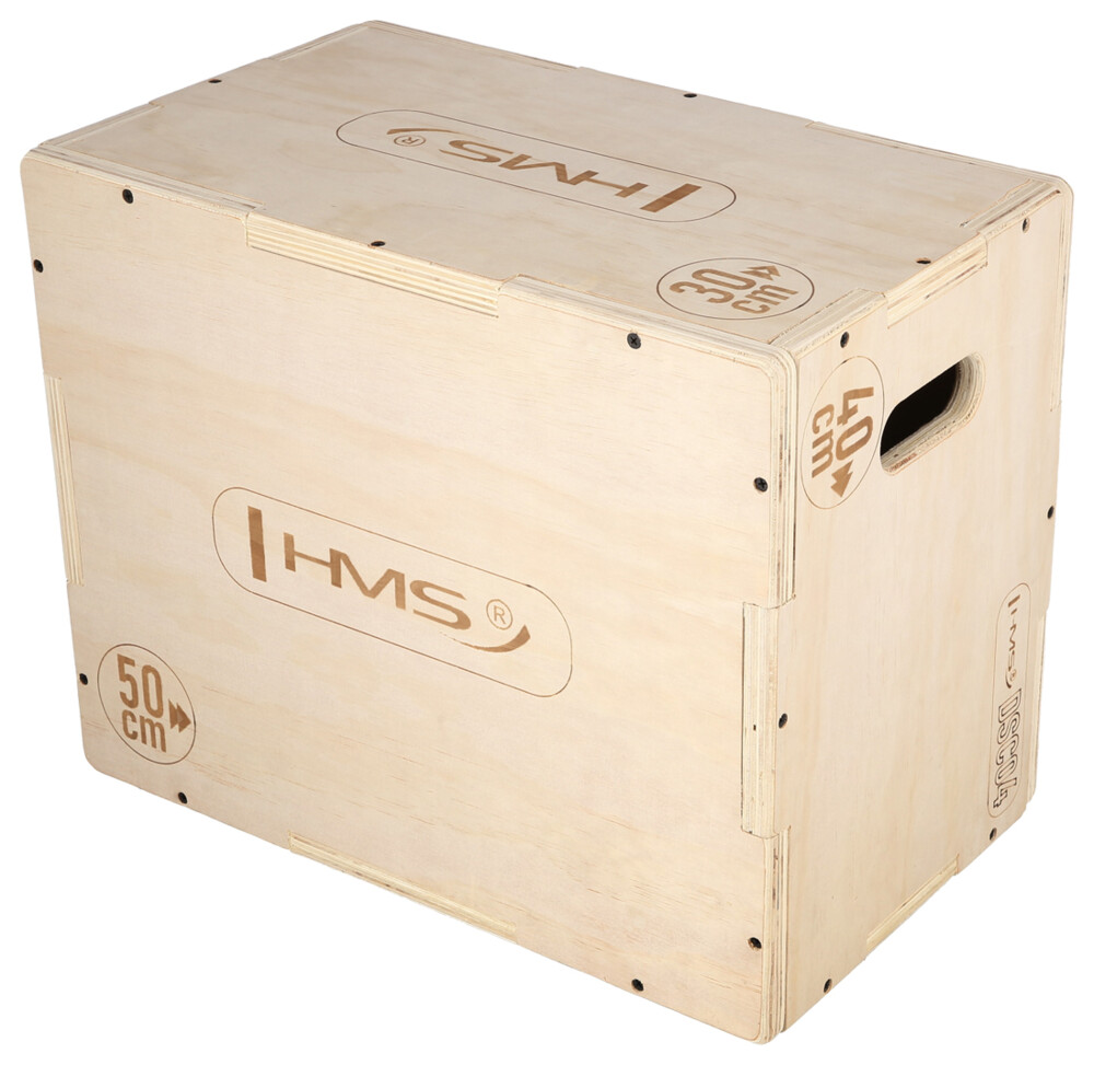 Plyo Box DSC04