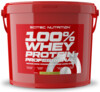 100% Whey Protein Professional 5000 g