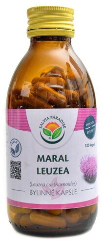 Maral leuzea 120 kapslí Leuzea carthamoides
