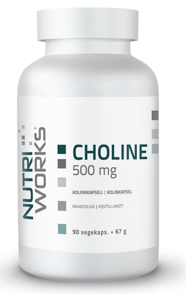 Choline 500 mg 90 kapslí